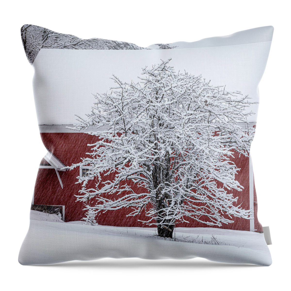 Maine Throw Pillow featuring the photograph Red Barn in Snow by Colin Chase
