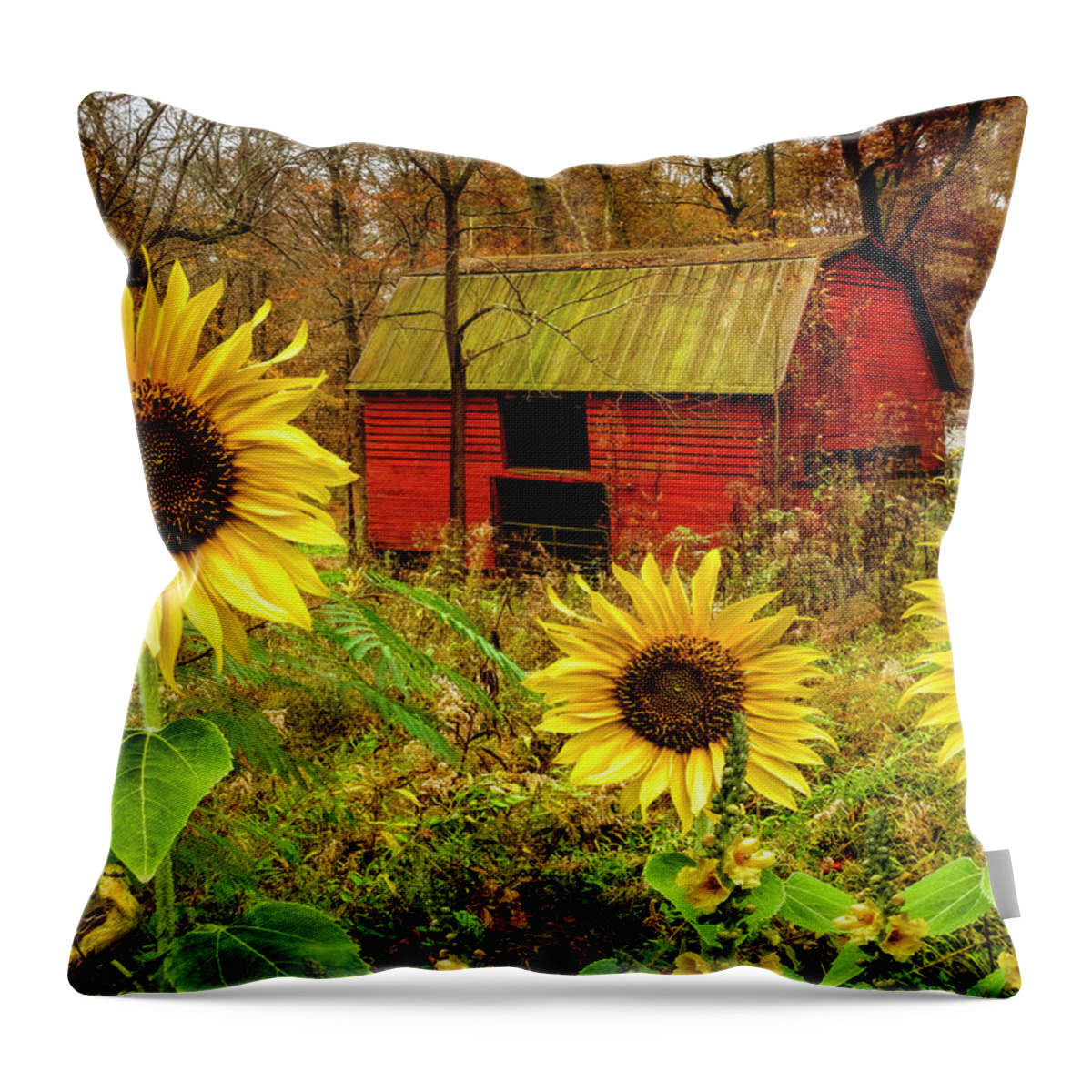 Sunflower Throw Pillow featuring the photograph Red Barn in Sunflowers II by Debra and Dave Vanderlaan