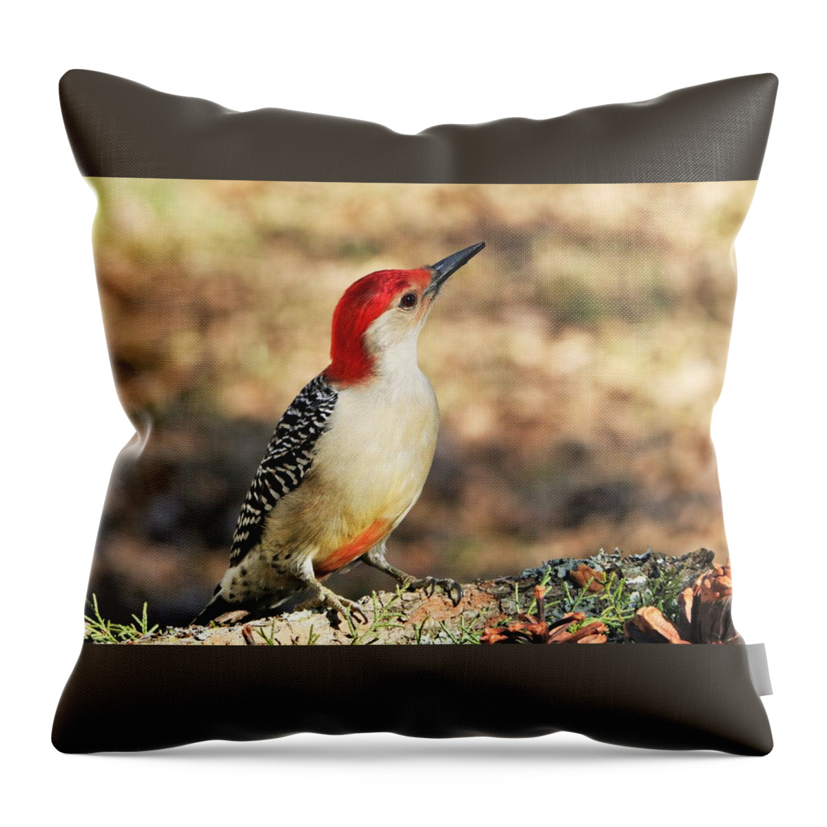 Nature Throw Pillow featuring the photograph Red-bellied Woodpecker Close-up by Sheila Brown