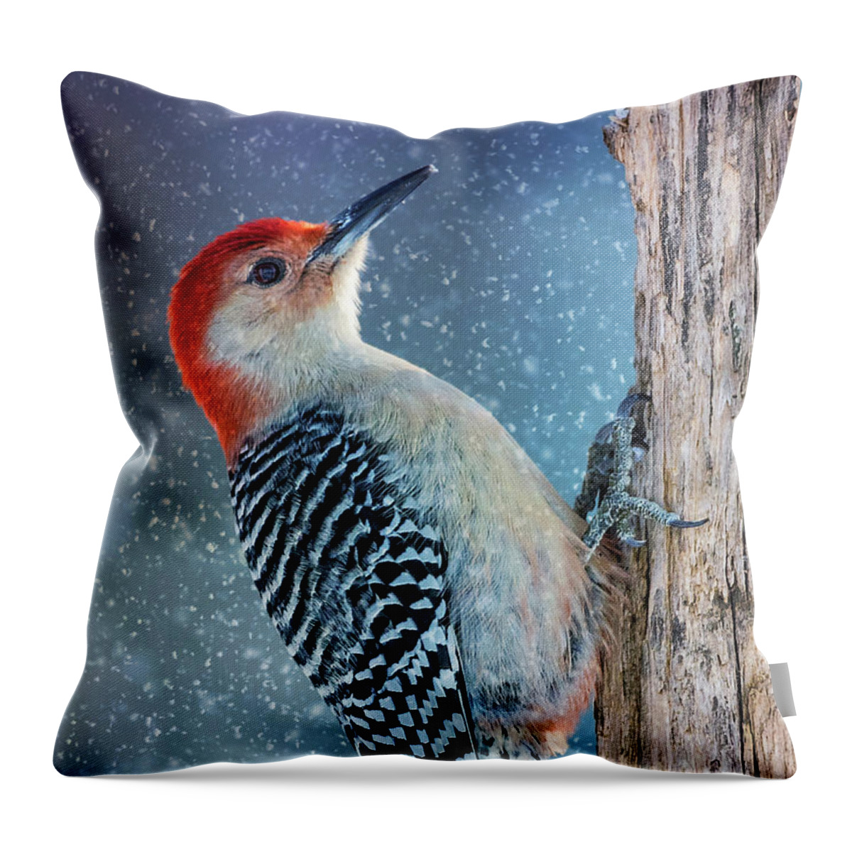 Tree Throw Pillow featuring the photograph Red-Belly Snowy Tree by Bill and Linda Tiepelman