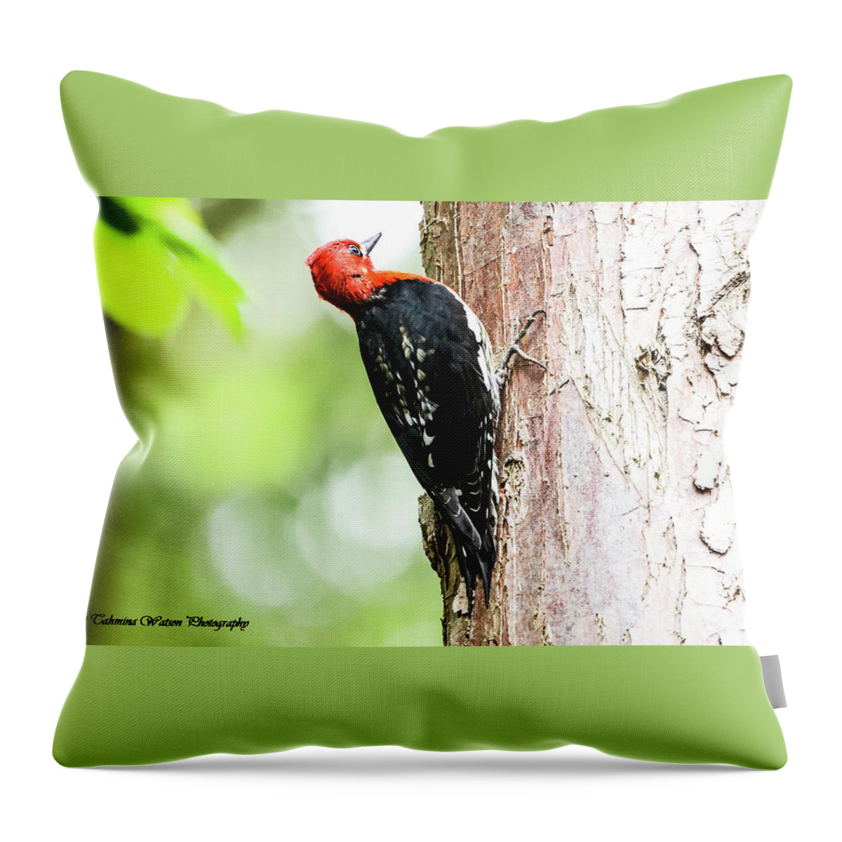 Woodpecker Throw Pillow featuring the photograph Red-breasted sapsucker by Tahmina Watson