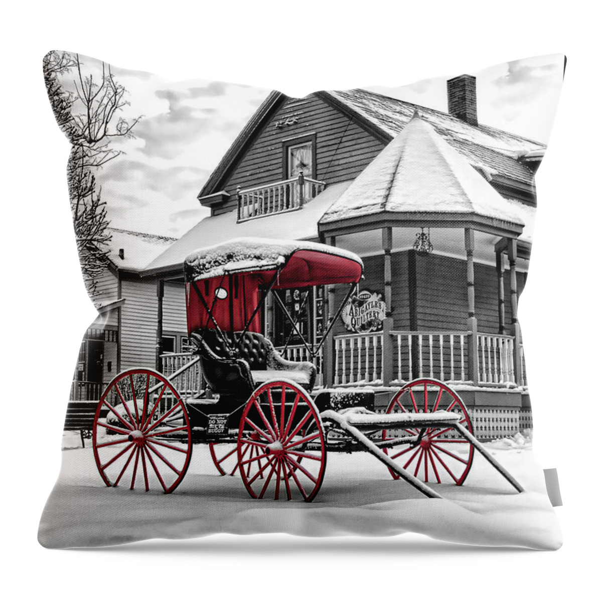 Horse Drawn Carriage Throw Pillow featuring the photograph Red Buggy At Olmsted Falls - 2 by Mark Madere