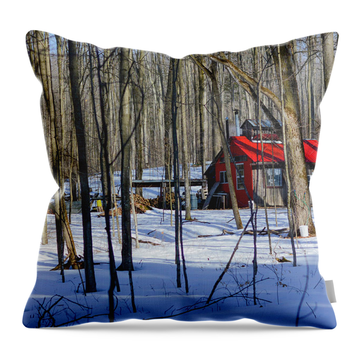 Red Throw Pillow featuring the photograph Red Cabin in the Woods by James Canning