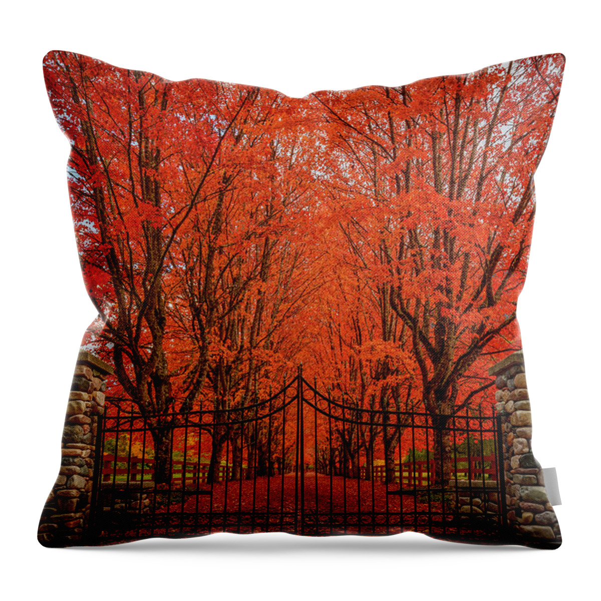 Fall Throw Pillow featuring the photograph Red Canopy by Dan Mihai