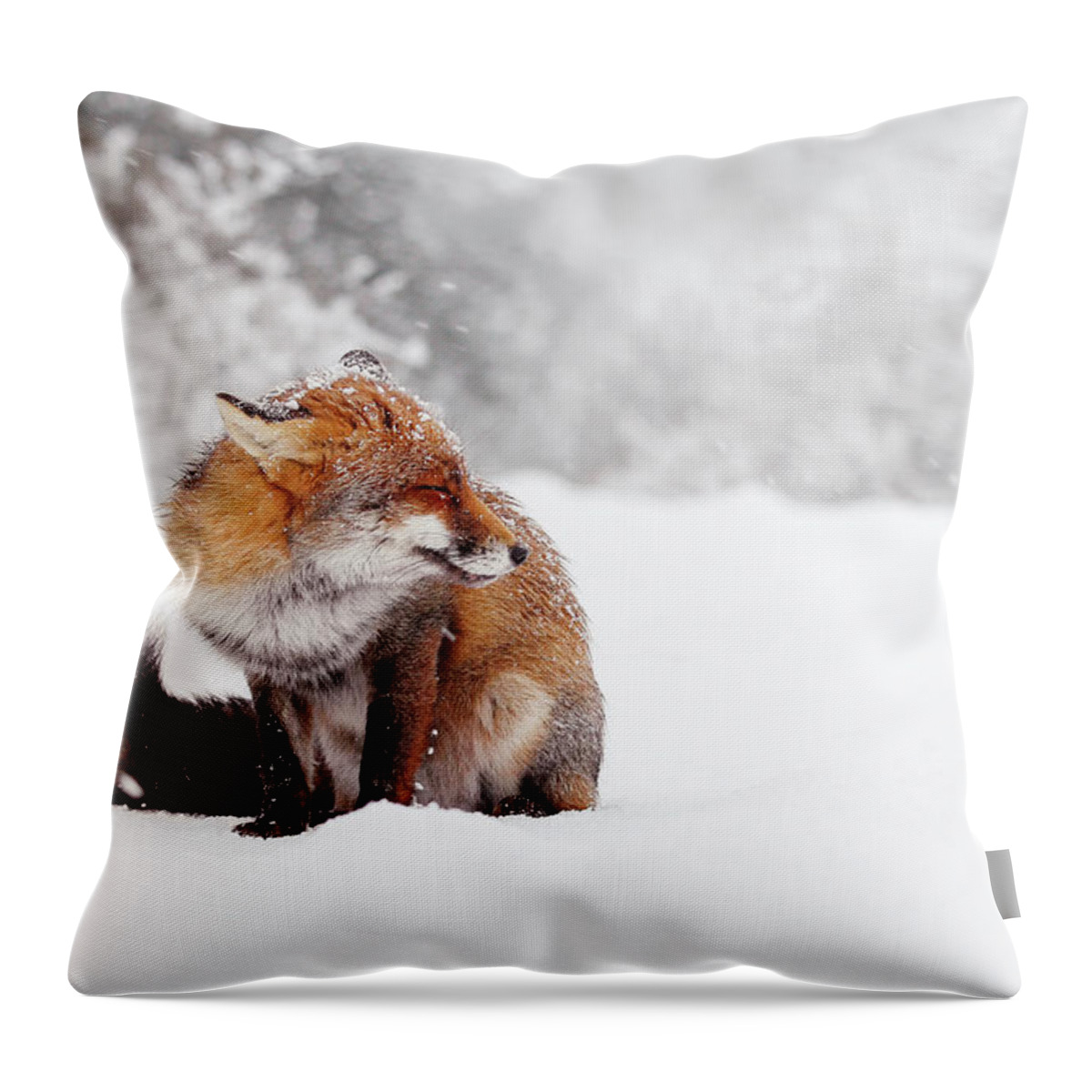Fox Throw Pillow featuring the photograph Red Fox in the Snow Series by Roeselien Raimond