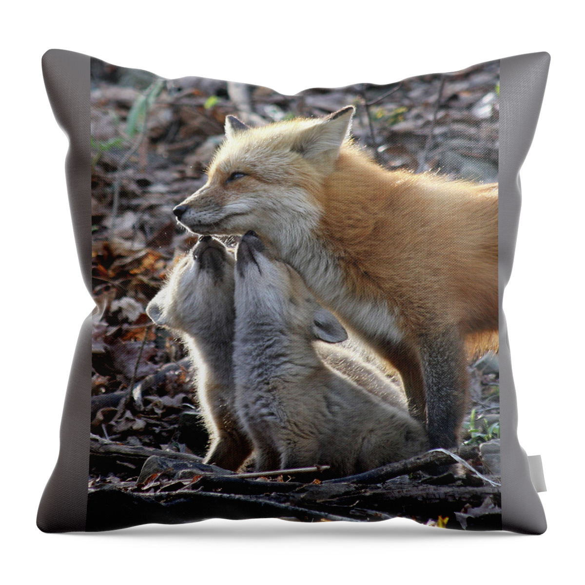 Red Fox Throw Pillow featuring the photograph Red Fox kits and parent by Doris Potter