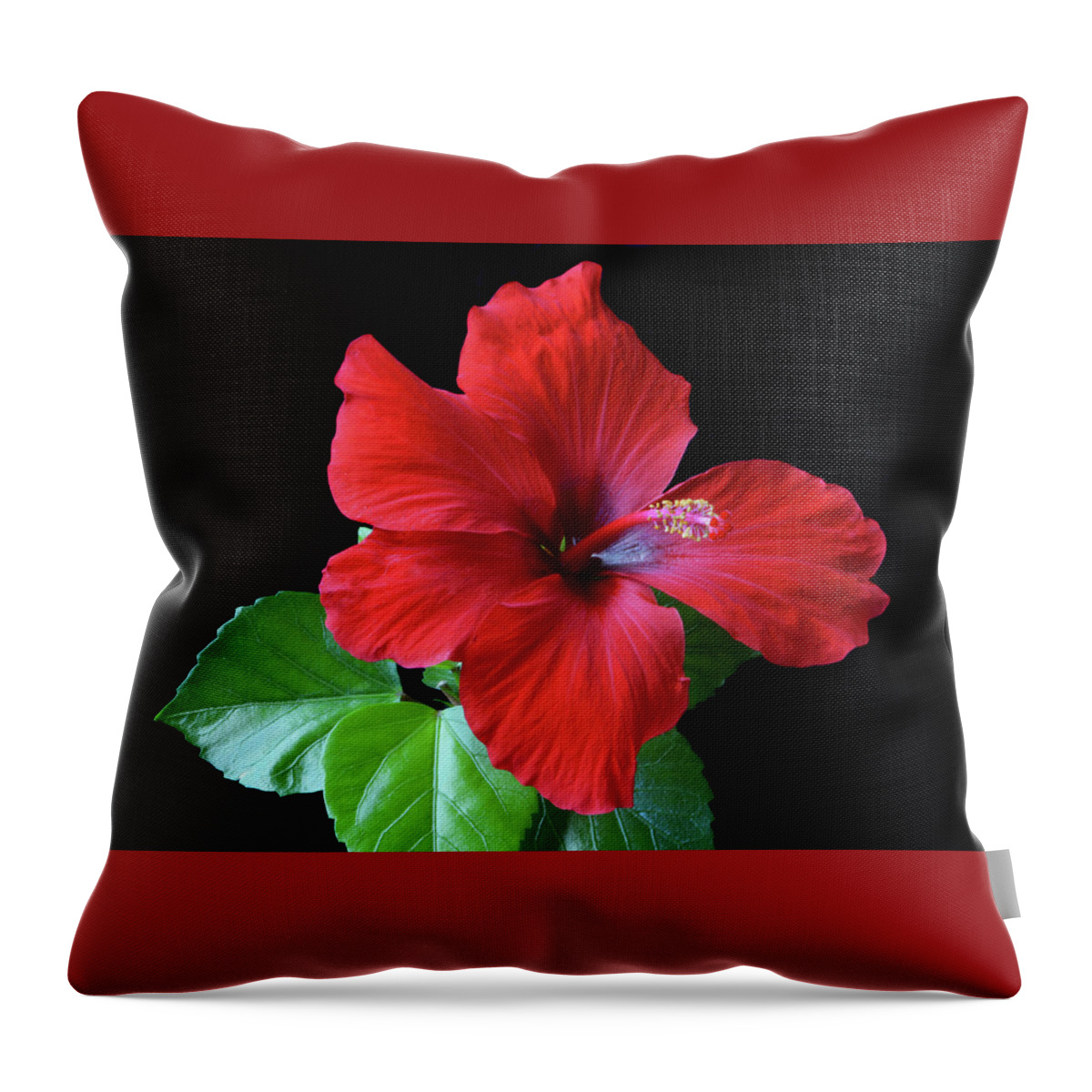 Hibiscus Throw Pillow featuring the photograph Red Hibiscus Portrait by Terence Davis