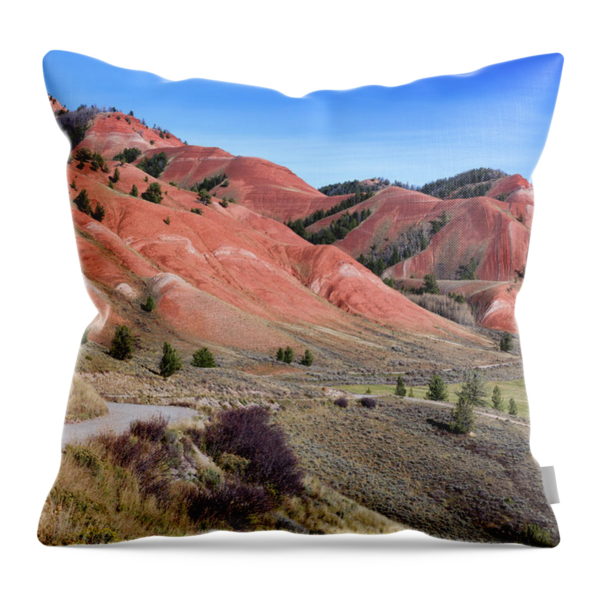 Grand Teton National Park Throw Pillow featuring the photograph Red Hills of the Gros Ventre by Kathleen Bishop