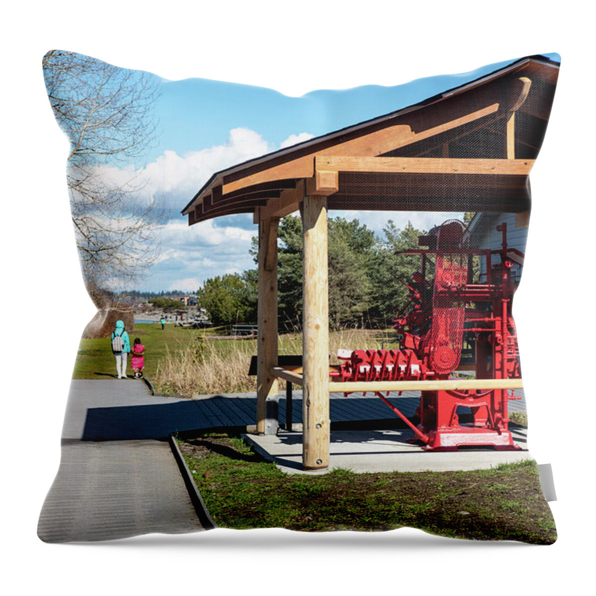 Red Iron Chink Throw Pillow featuring the photograph Red Iron Chink by Tom Cochran