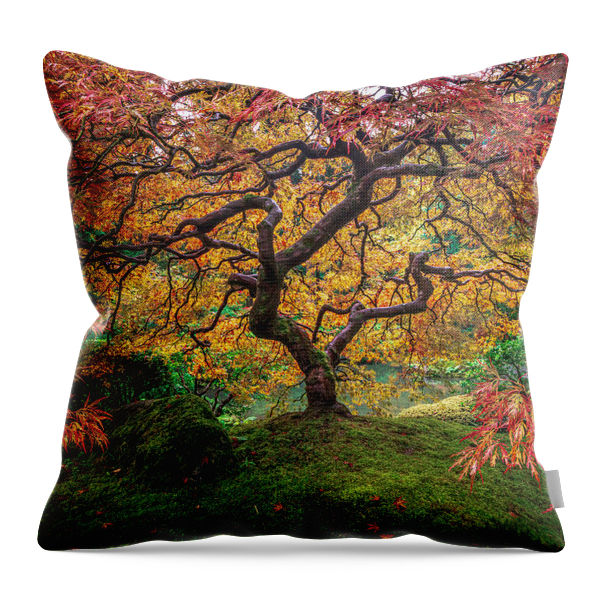 Japanese Maple Throw Pillow featuring the photograph Red Japanese Maple by Ryan Smith