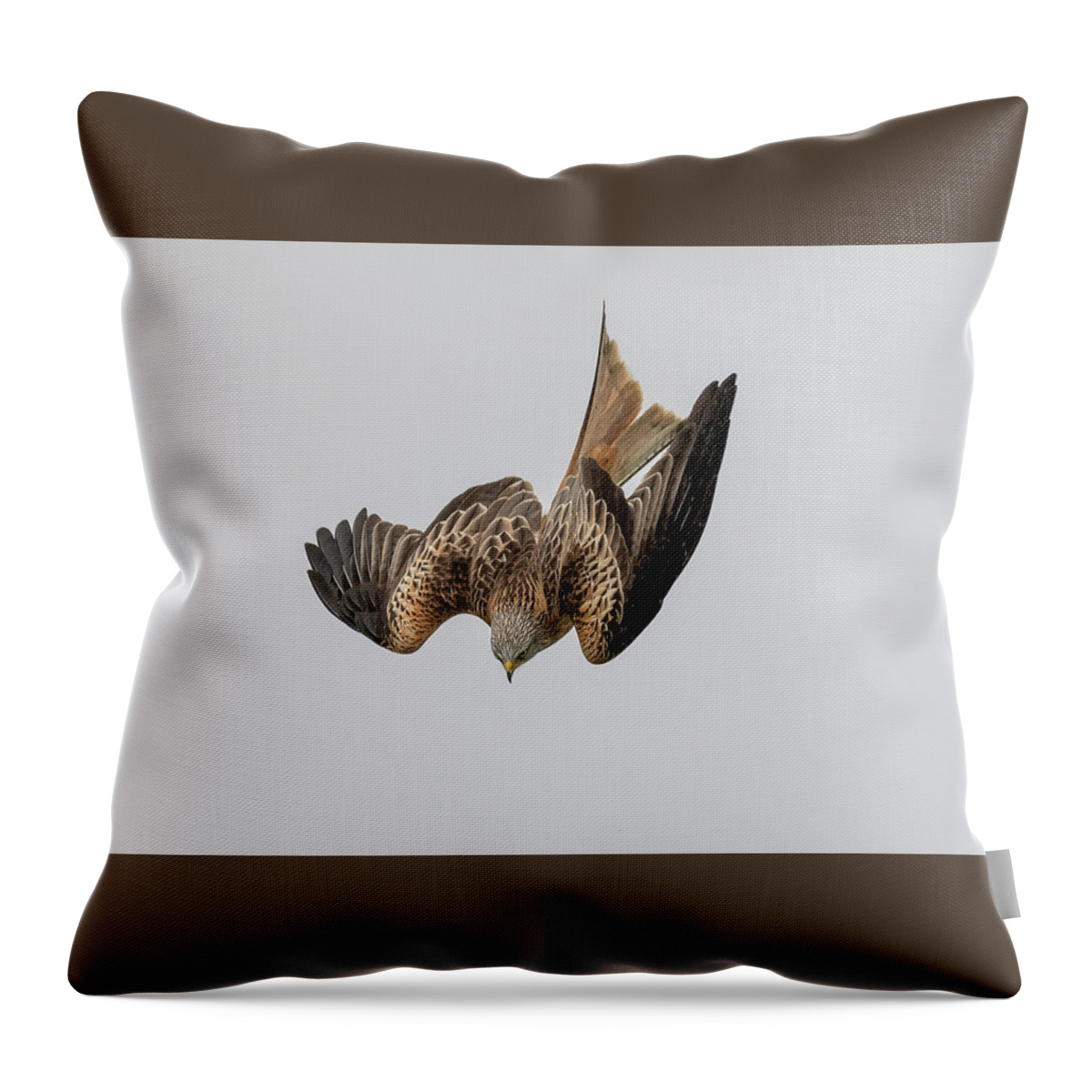 Red Kite Throw Pillow featuring the photograph Red Kite Diving by Mark Hunter