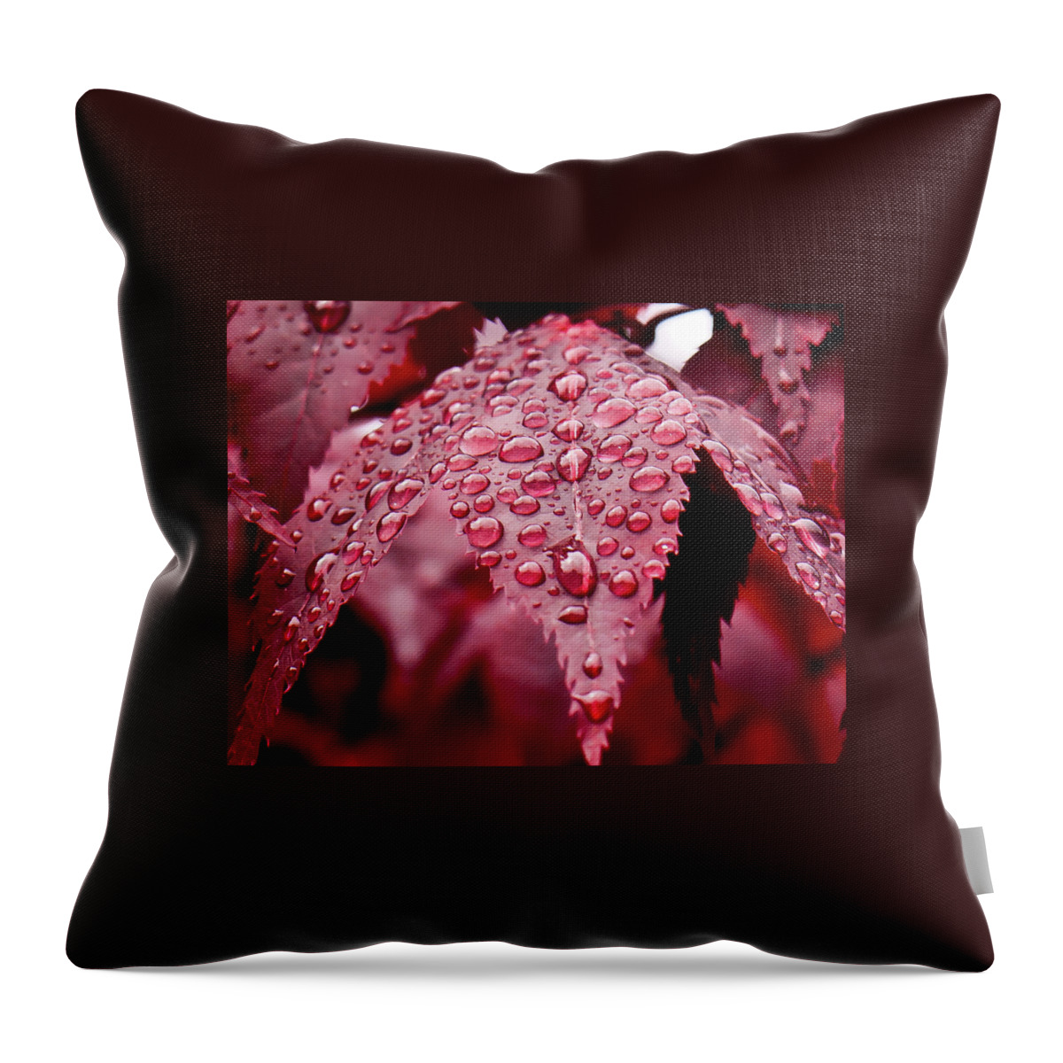 Red Throw Pillow featuring the photograph Red Leaf with Raindrops - Ketchikan, Alaska by David Morehead