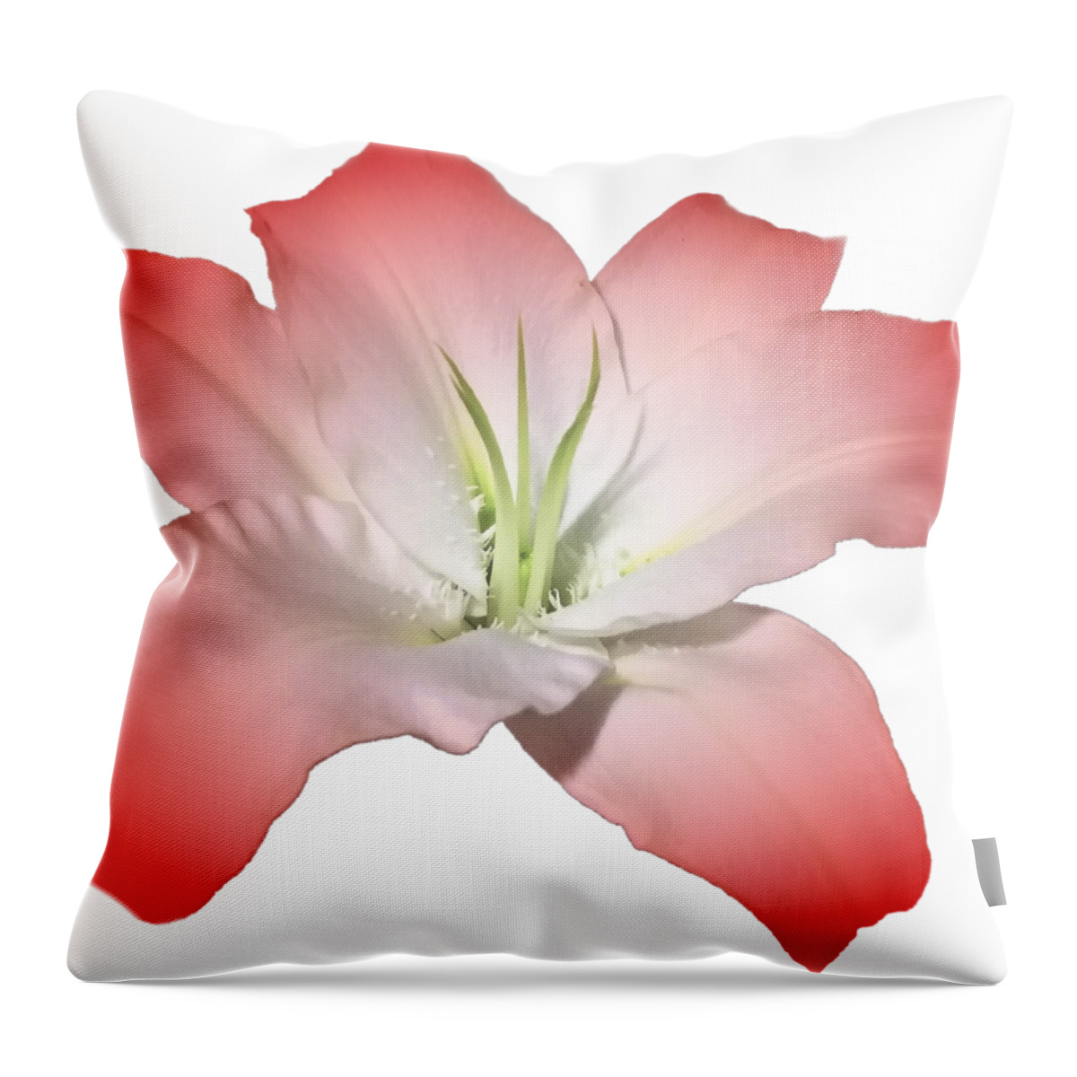 Red Throw Pillow featuring the photograph Red Lily Flower by Delynn Addams