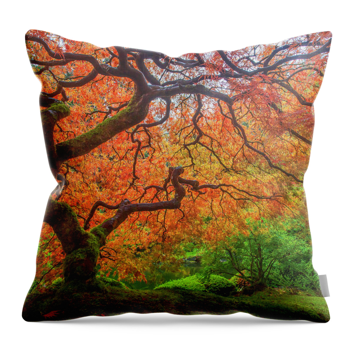 Red Ninja Throw Pillow featuring the photograph Red Ninja by Darren White