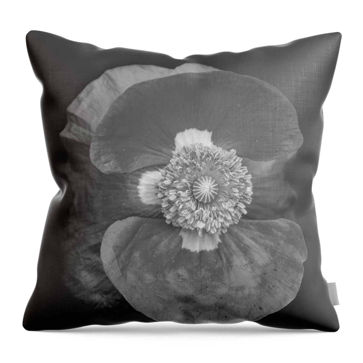 Poppy Throw Pillow featuring the photograph Red Poppy 2021-1 Black and White by Thomas Young
