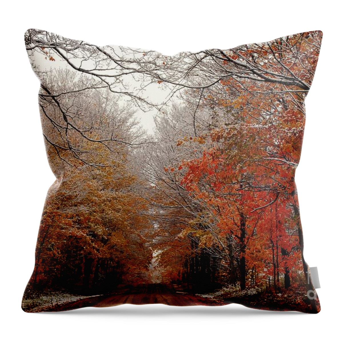 Red Throw Pillow featuring the photograph Winter is Coming by Terri Gostola