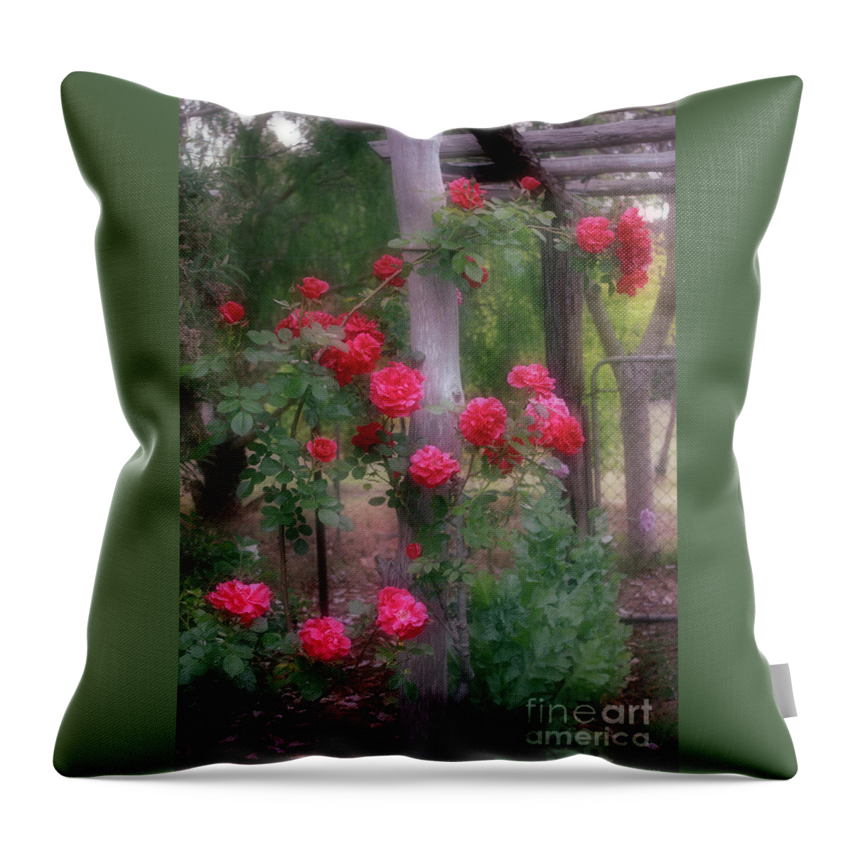 Elaine Teague Throw Pillow featuring the photograph Red Rose Dream by Elaine Teague
