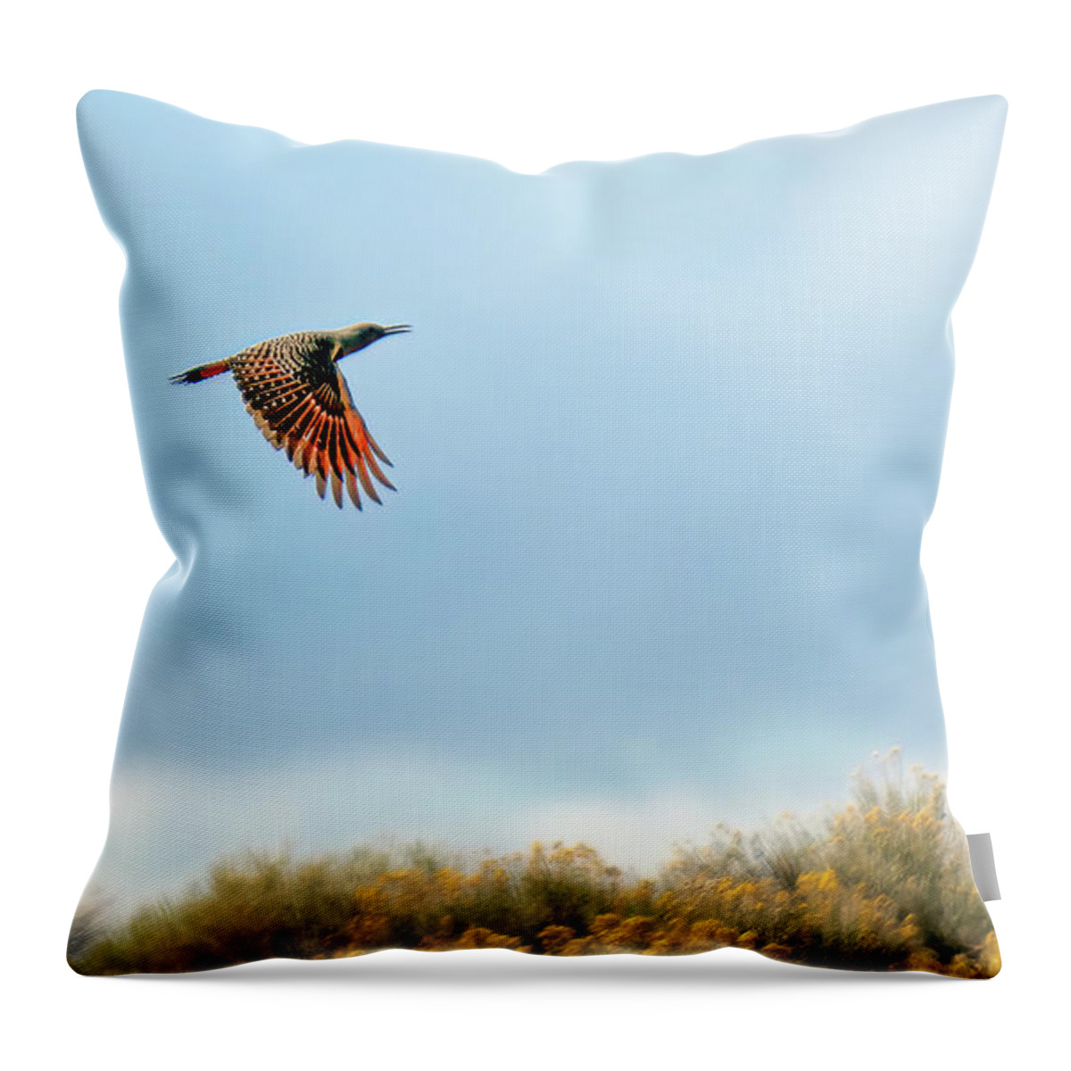 Red Shafted Flicker Throw Pillow featuring the photograph Red Shafted Flicker by Rick Mosher