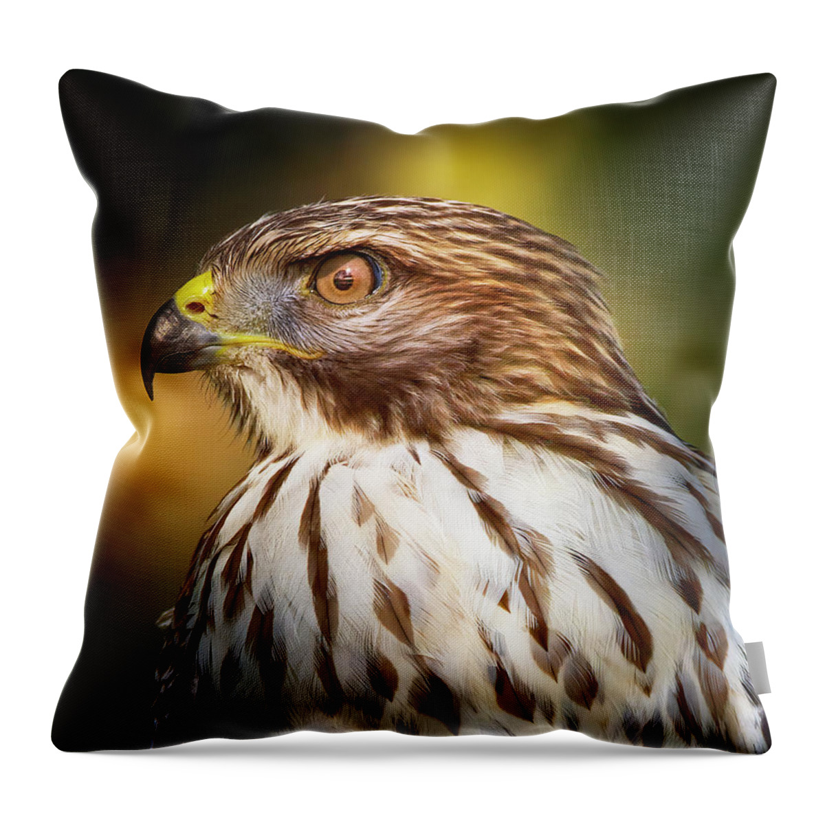 Red Shouldered Hawk Throw Pillow featuring the photograph Red Shouldered Hawk Close Up by Mark Andrew Thomas