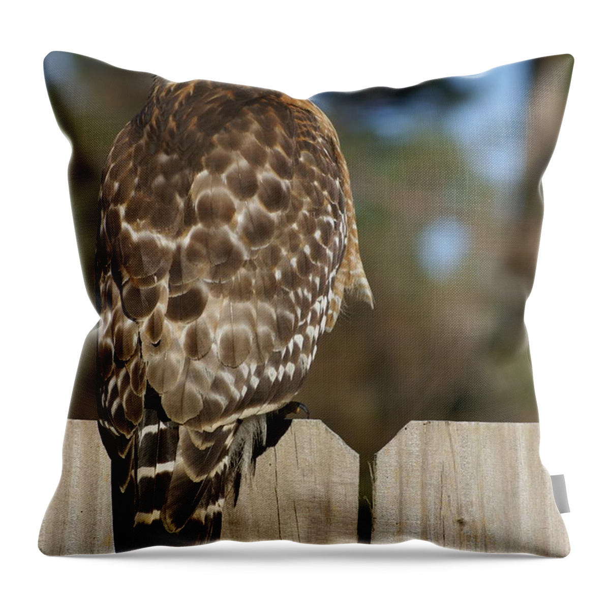  Throw Pillow featuring the photograph Red-Shouldered Hawk by Heather E Harman