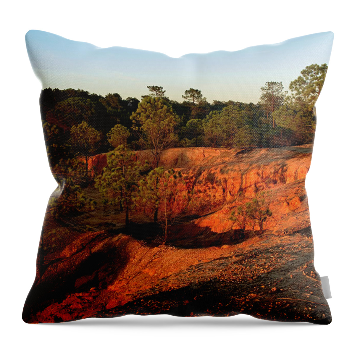 Forest Throw Pillow featuring the photograph Red Sunset Cliffs by Angelo DeVal