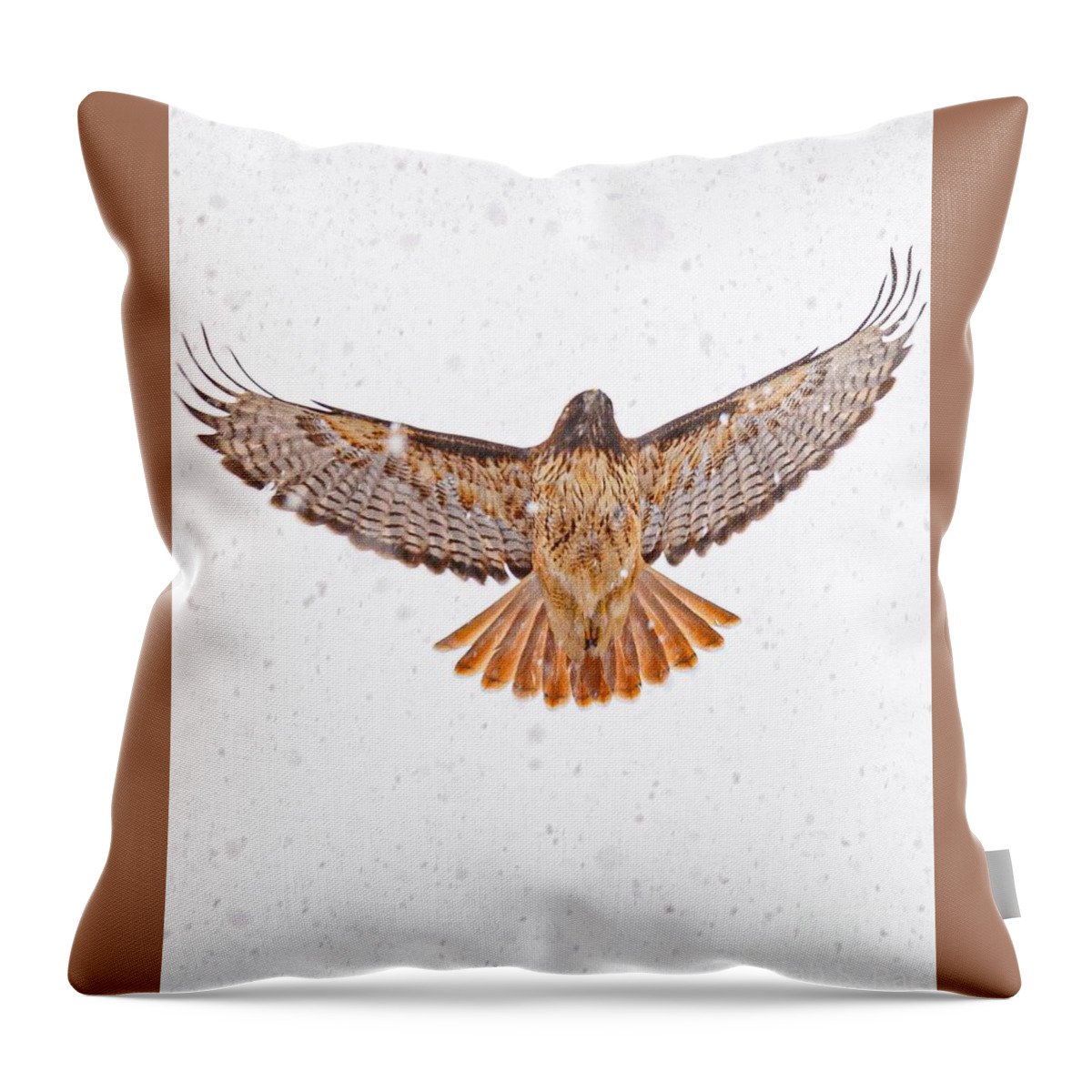 Bird Throw Pillow featuring the photograph Red Tail in the Snow by Elijah Rael