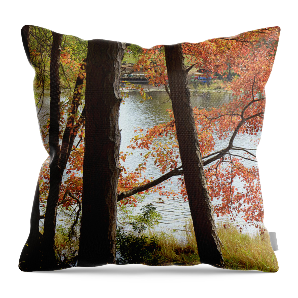 Trees Throw Pillow featuring the photograph Red Tree by Iris Greenwell