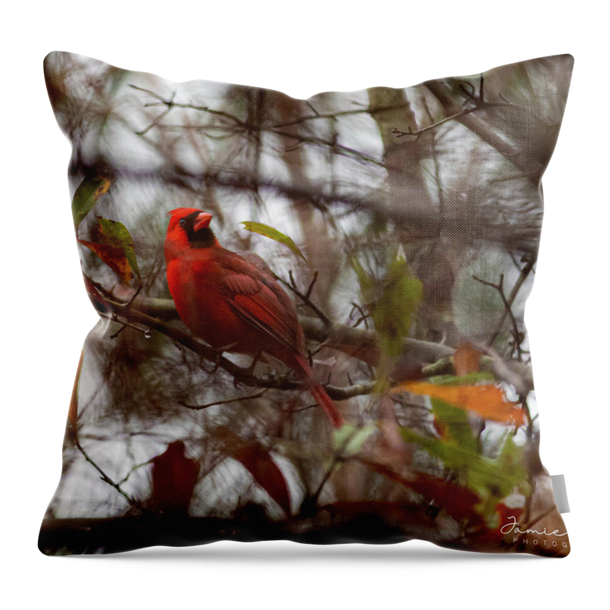 Bird Throw Pillow featuring the photograph Redbird by Jamie Tyler