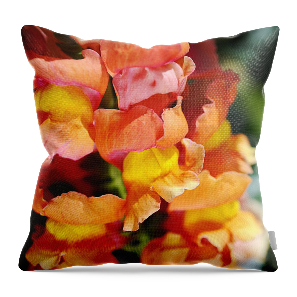 Antirrhinum Throw Pillow featuring the photograph Reddish Golden Snapdragon Flowers by Joy Watson