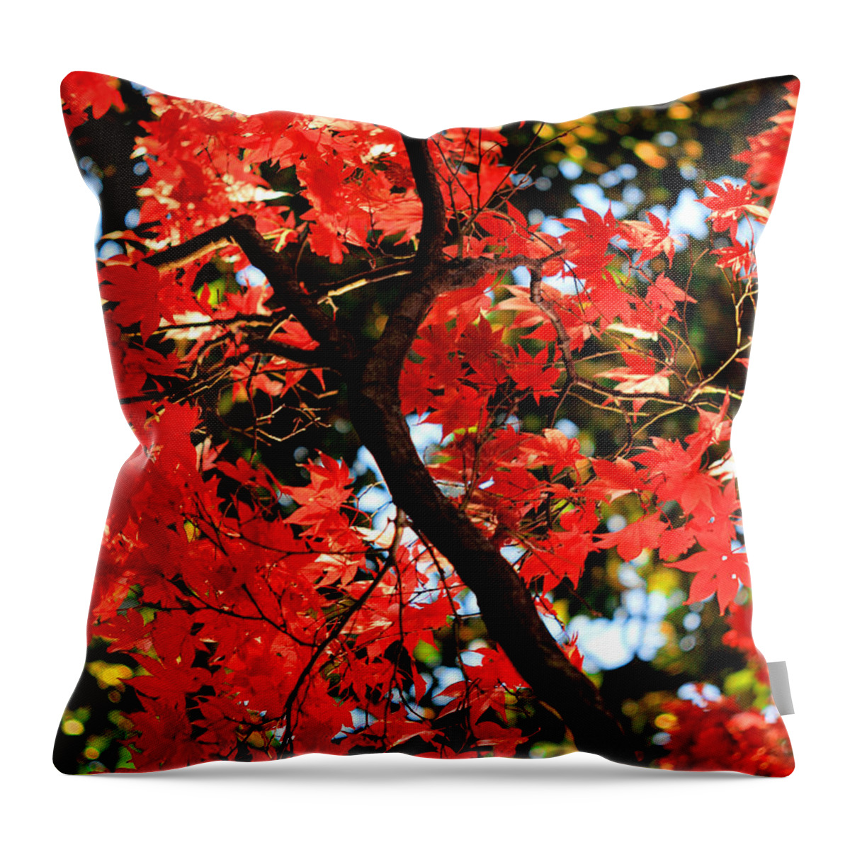 Vivid Throw Pillow featuring the photograph Reds of an Autumn Afternoon No.2 - An Annapolis Impression by Steve Ember