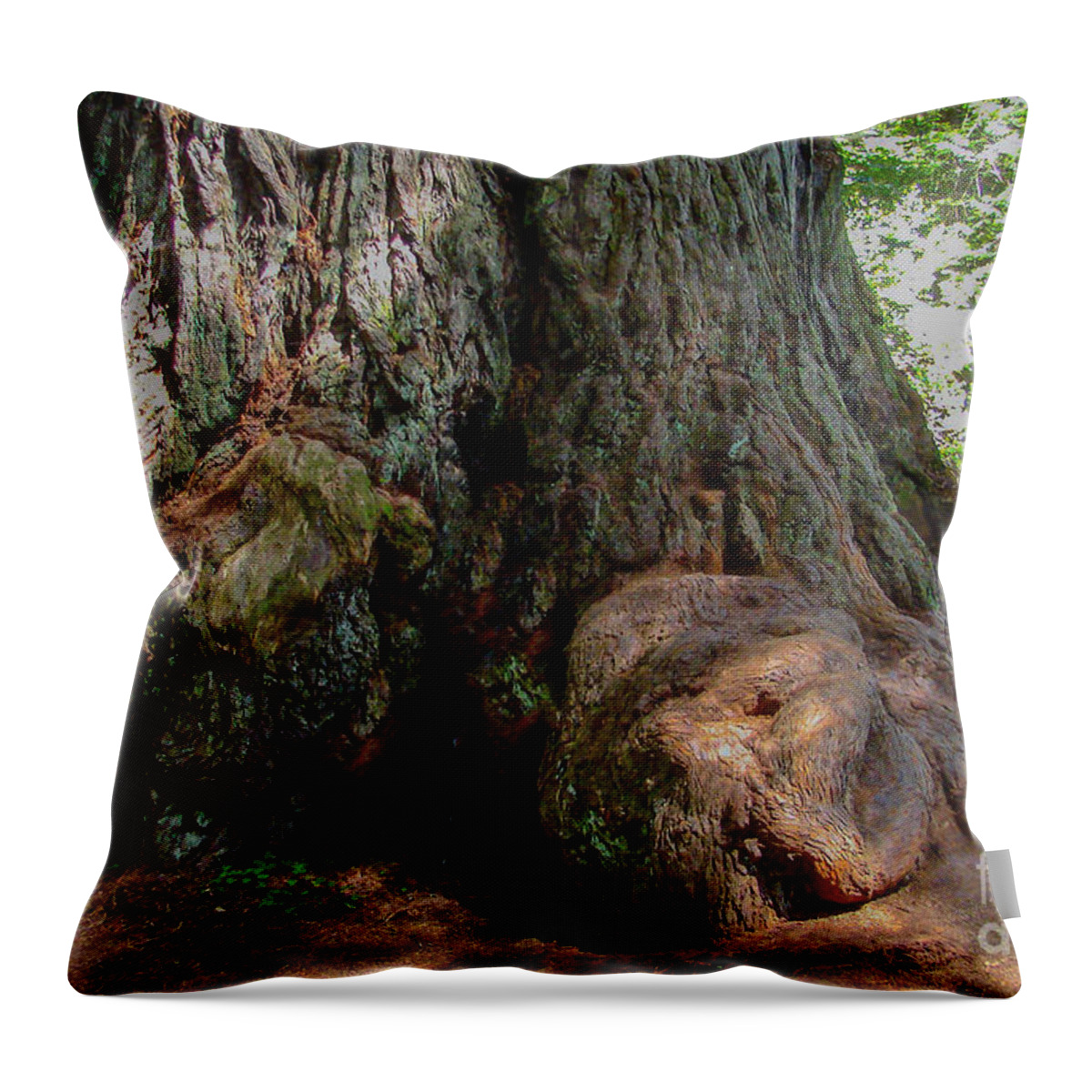 Redwood In Sequoia National Forest Throw Pillow featuring the digital art Redwood in Sequoia National Forest by Tammy Keyes