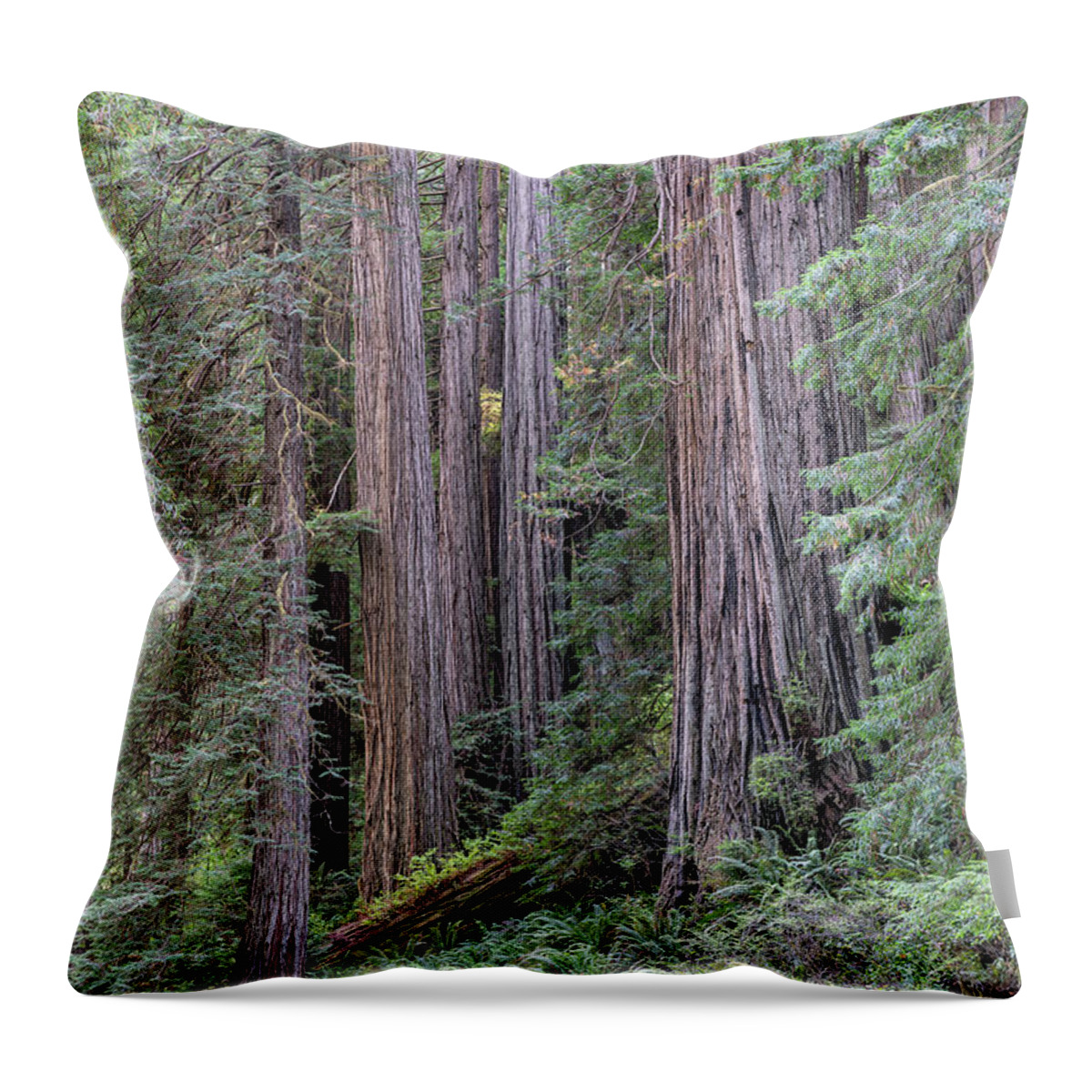 California Throw Pillow featuring the photograph Redwoods by Rudy Wilms