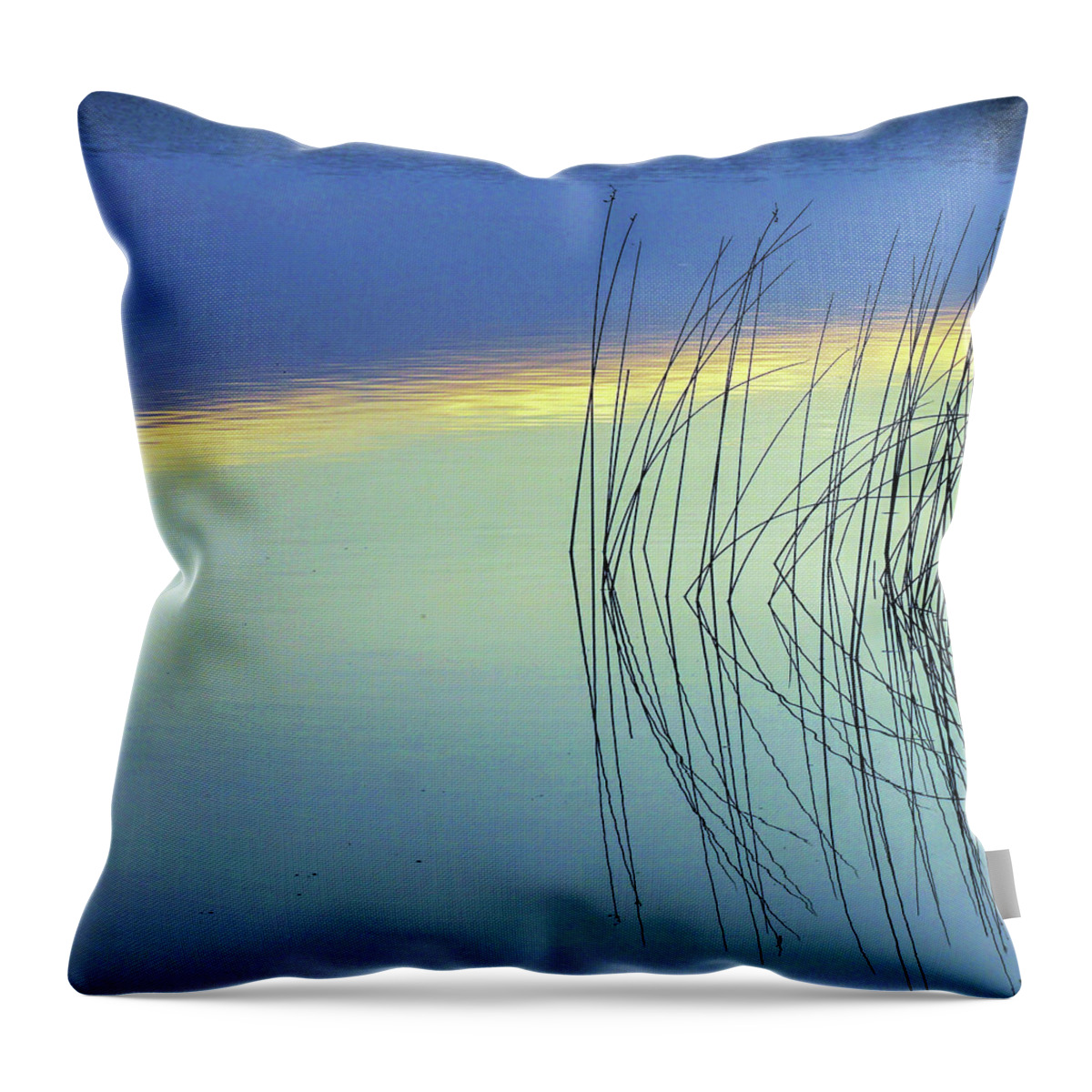 Reeds Throw Pillow featuring the photograph Reeds by David Ralph Johnson