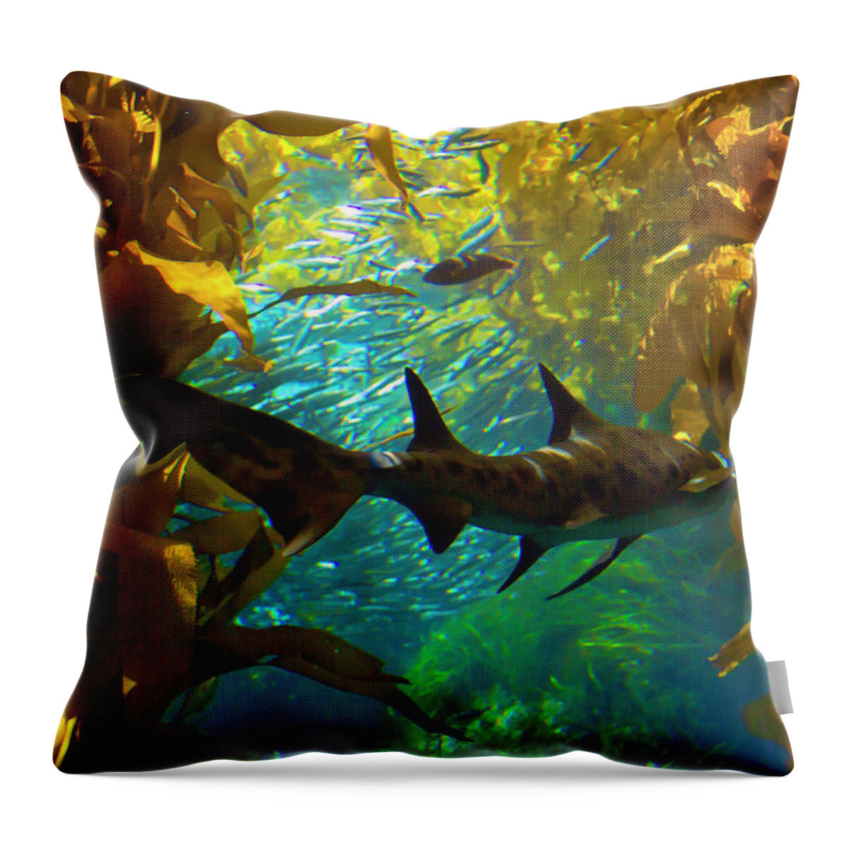 Shark Throw Pillow featuring the photograph Reef Shark in the Kelp Forest by Bonnie Follett