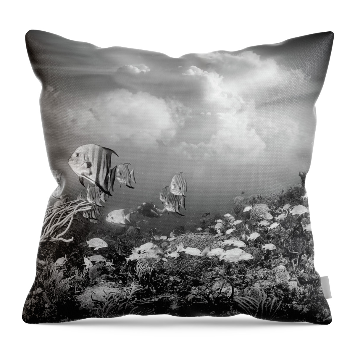 Black Throw Pillow featuring the photograph Reef Under the Sea and Sky Black and White by Debra and Dave Vanderlaan