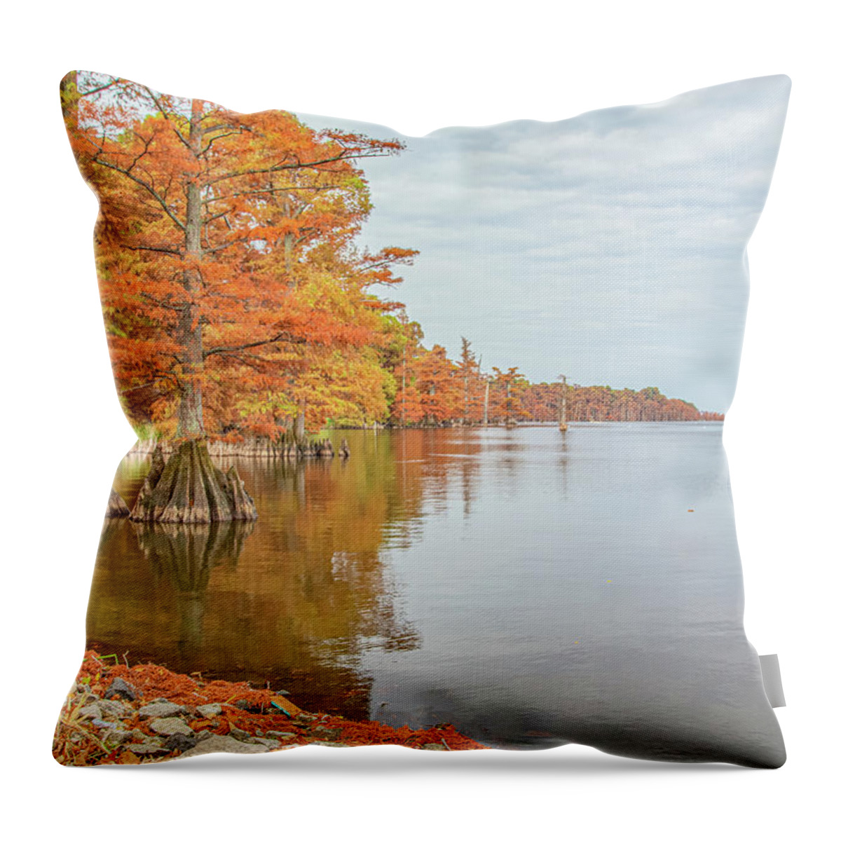 Cypress Trees Throw Pillow featuring the photograph Reelfoot Lake 37 by Jim Dollar