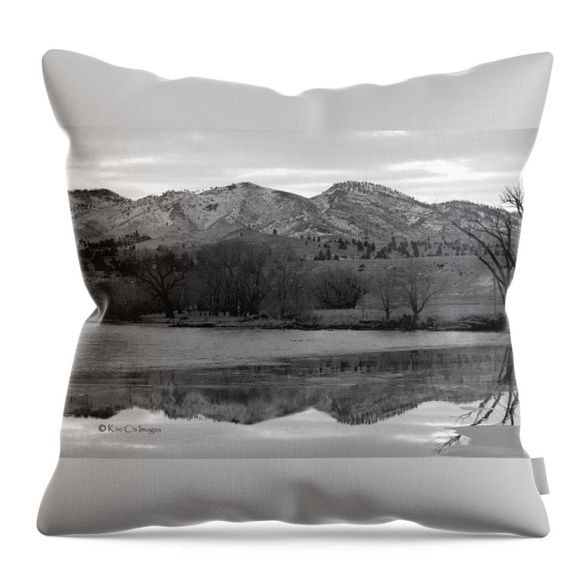 Black And White Throw Pillow featuring the photograph Reflections in Icy Waters BW by Kae Cheatham