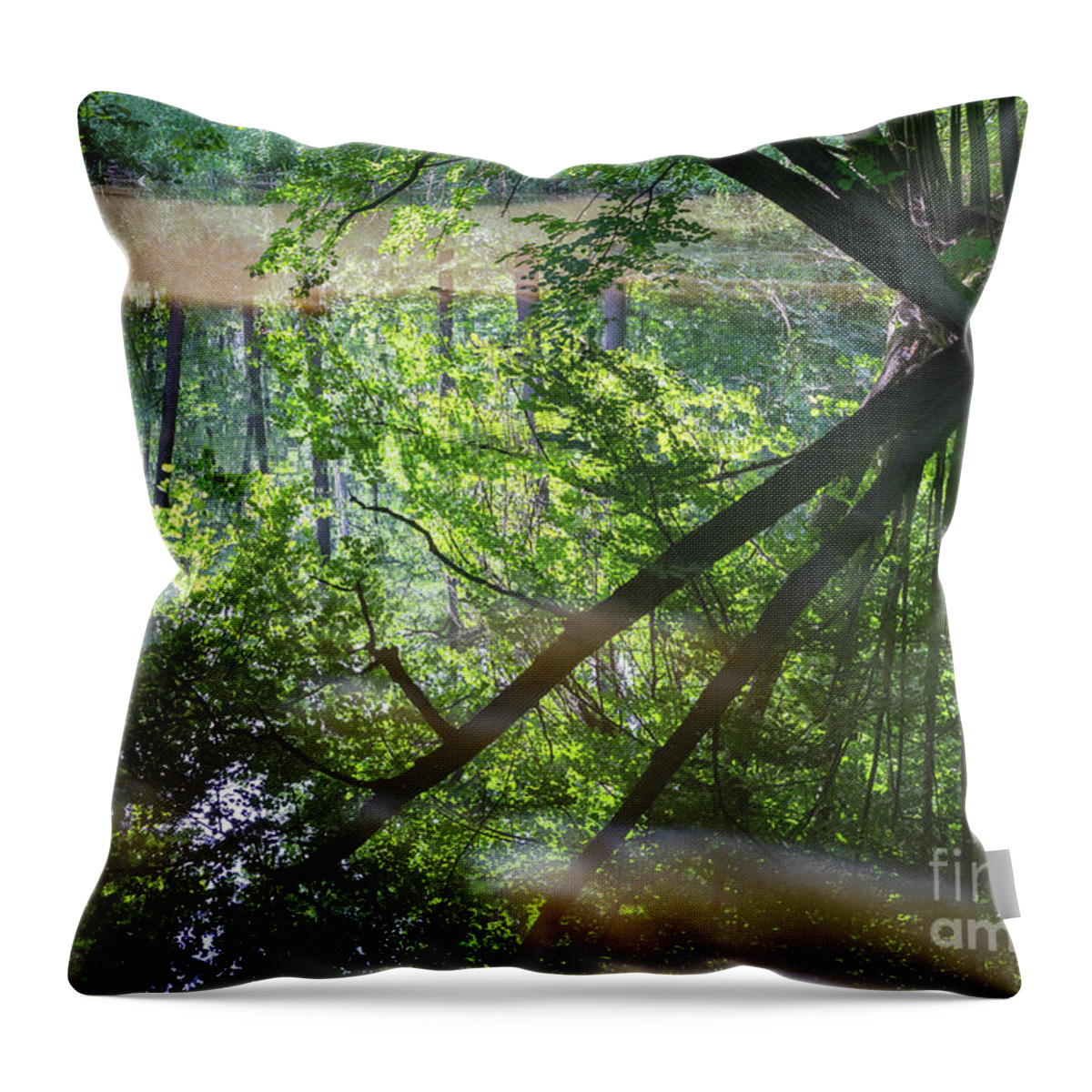 Lake Throw Pillow featuring the photograph Reflection of trees in calm water by Adriana Mueller