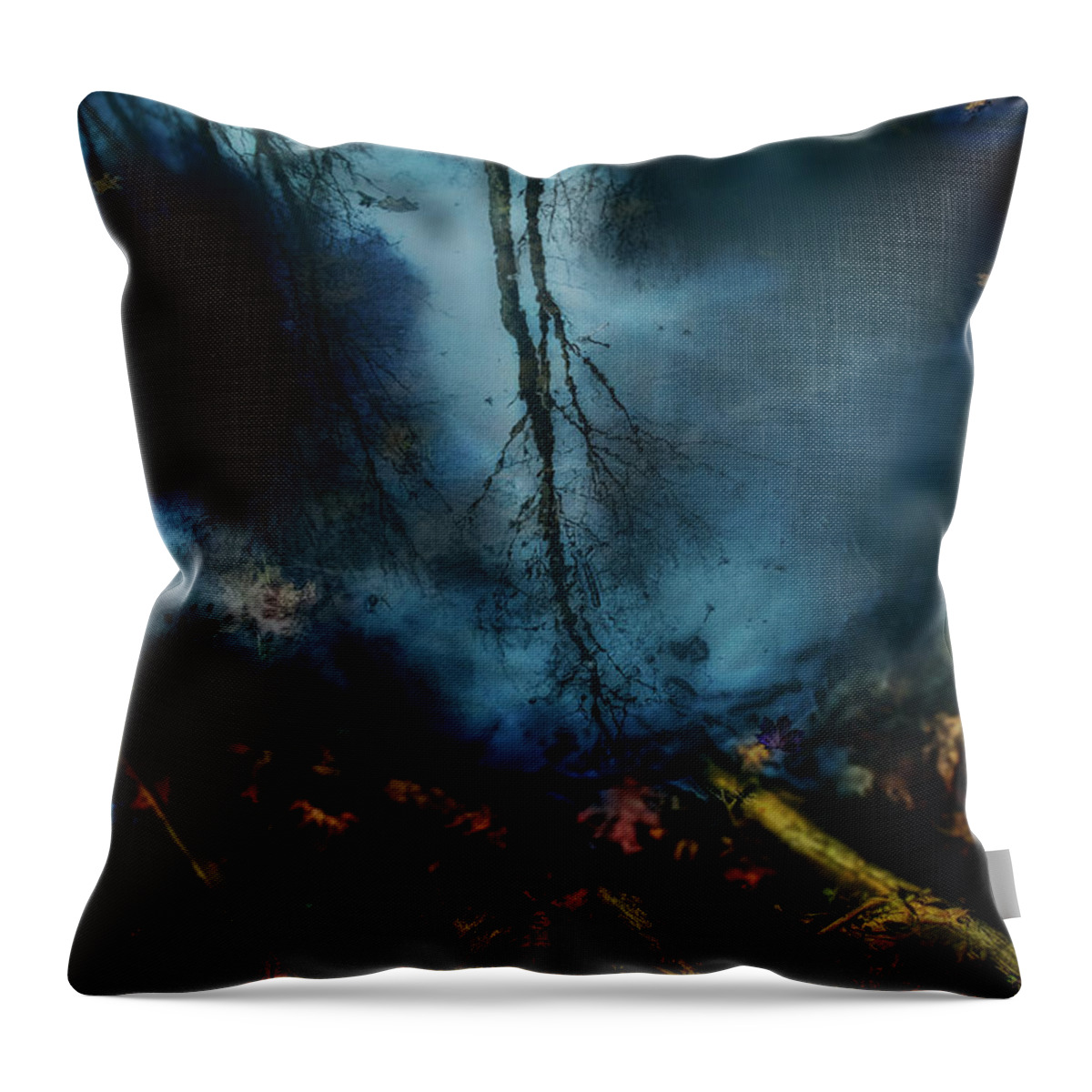 Abstract Throw Pillow featuring the photograph Reflections from a puddle by Jim Signorelli