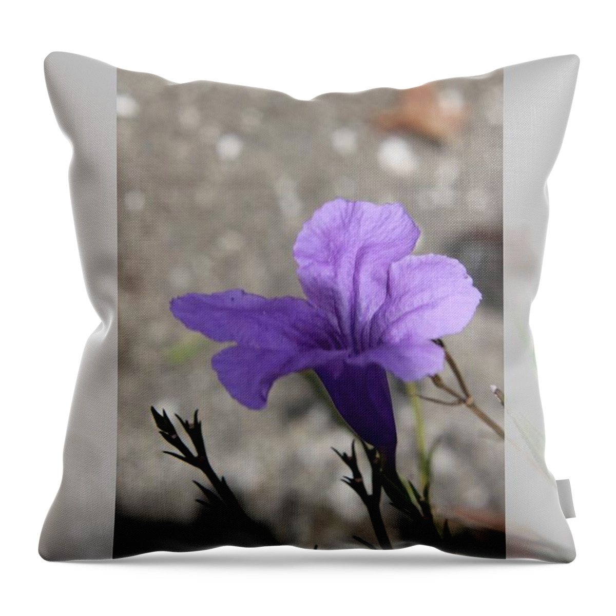 Fkiwers Throw Pillow featuring the photograph Reflections of beauty by Philip And Robbie Bracco