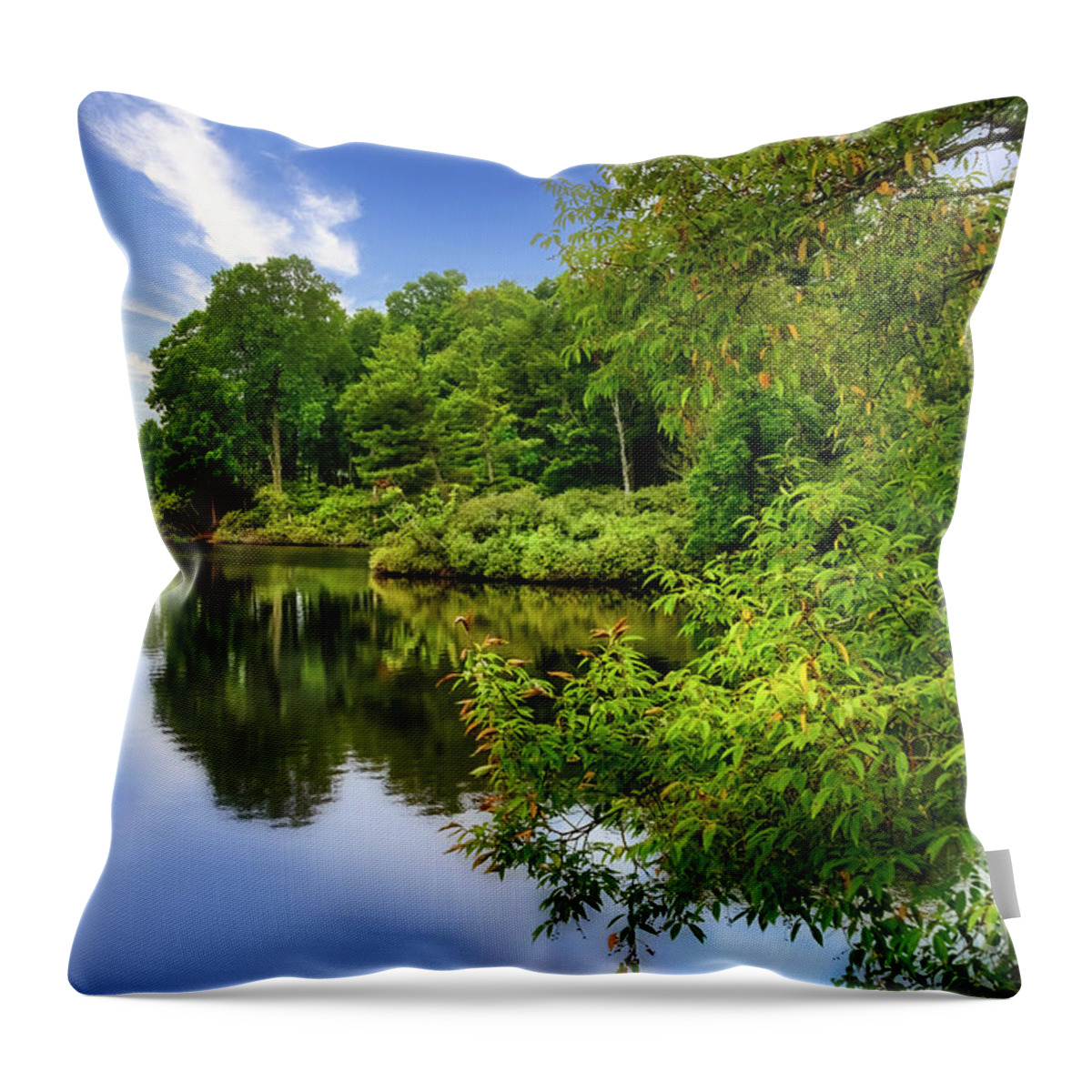 Reflections Throw Pillow featuring the photograph Reflections on Price Lake by Shelia Hunt
