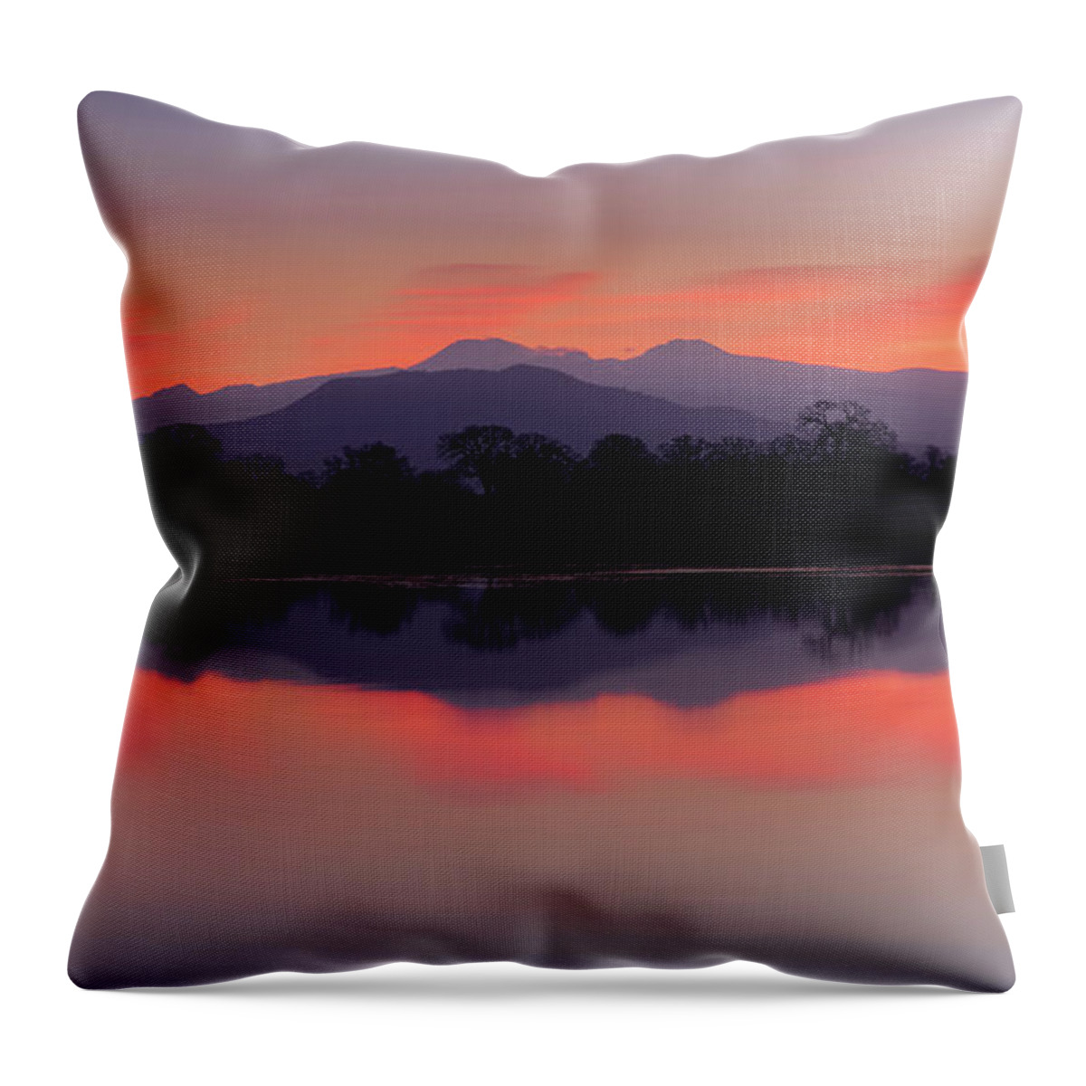Lake Throw Pillow featuring the photograph Reflective Serenity by Mike Lee