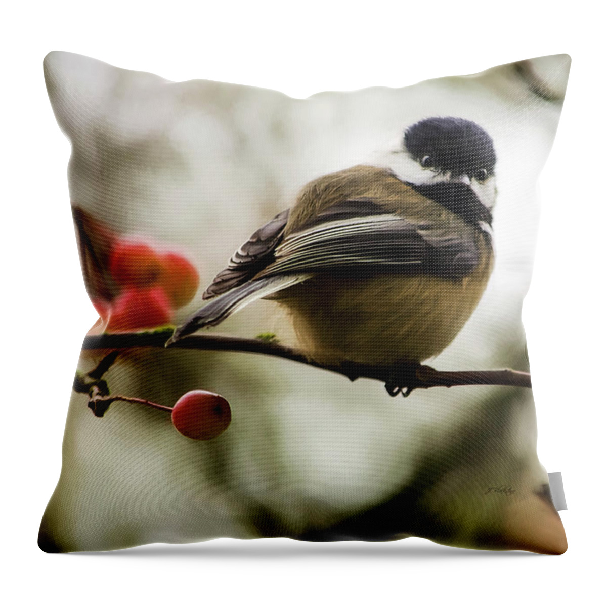 Nature Throw Pillow featuring the photograph Relationships Are Like Birds by Jordan Blackstone