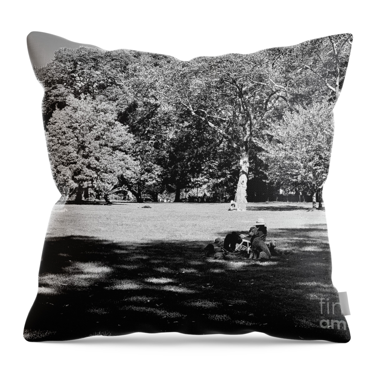  Throw Pillow featuring the photograph Relax by Dennis Richardson