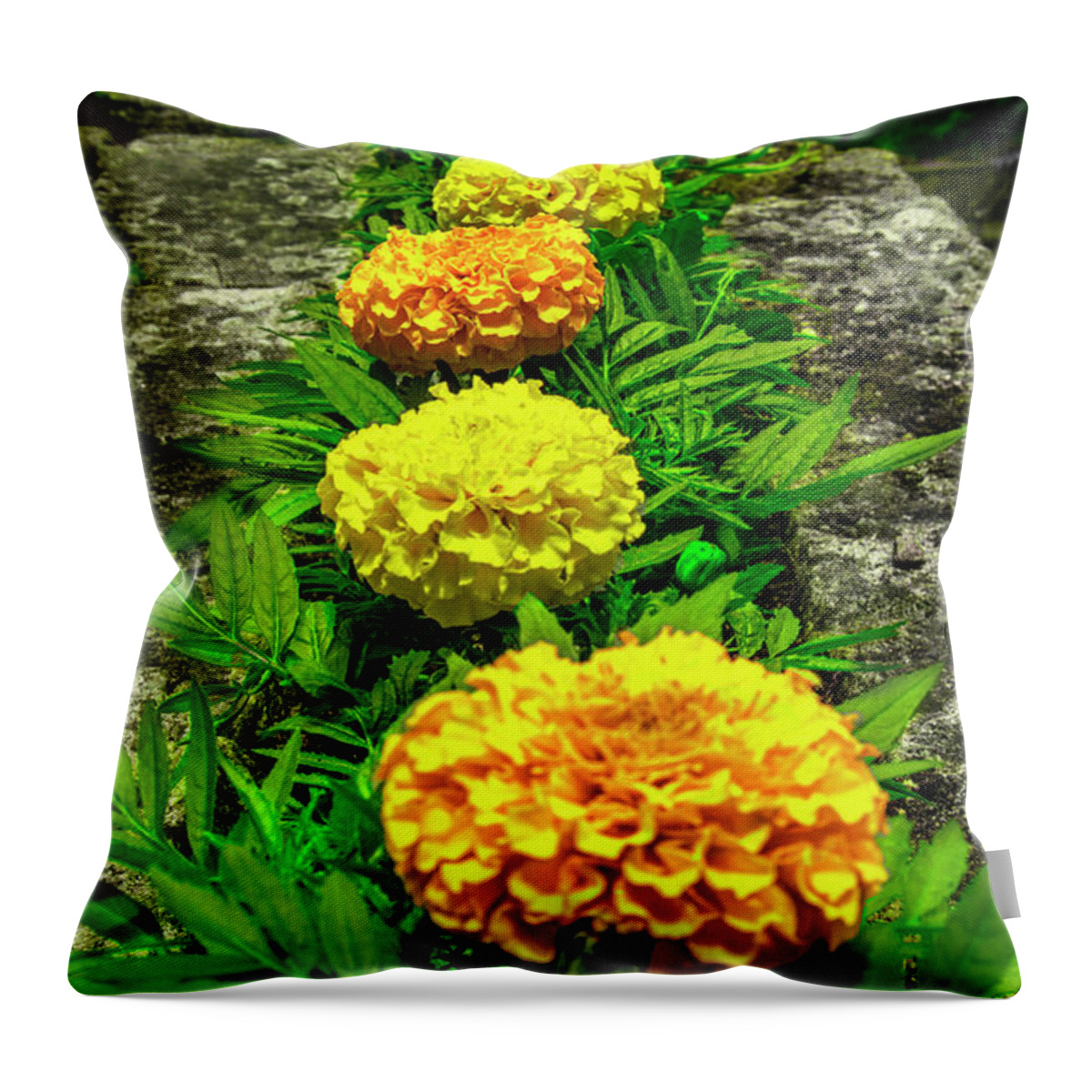 Alternating Throw Pillow featuring the photograph Reluctant alternance by Micah Offman