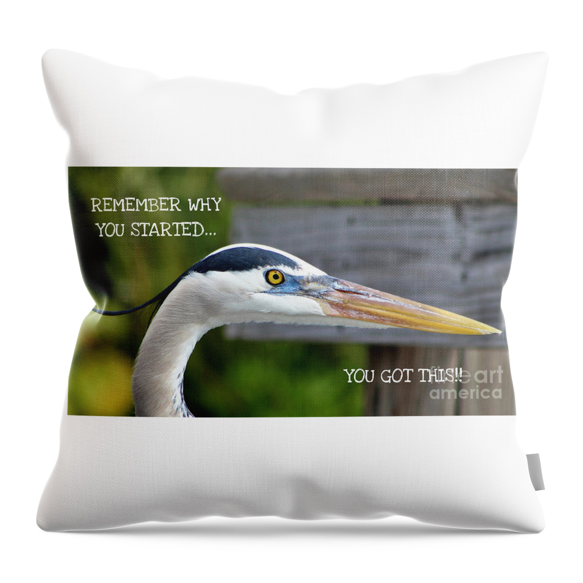 Heron Throw Pillow featuring the photograph Remember Why You Started... by Joanne Carey
