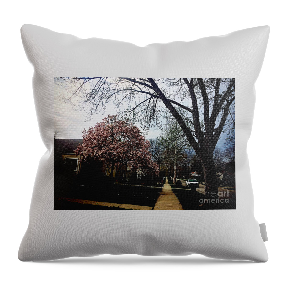 Magnolia Tree Throw Pillow featuring the photograph Remember You Are Precious by Frank J Casella