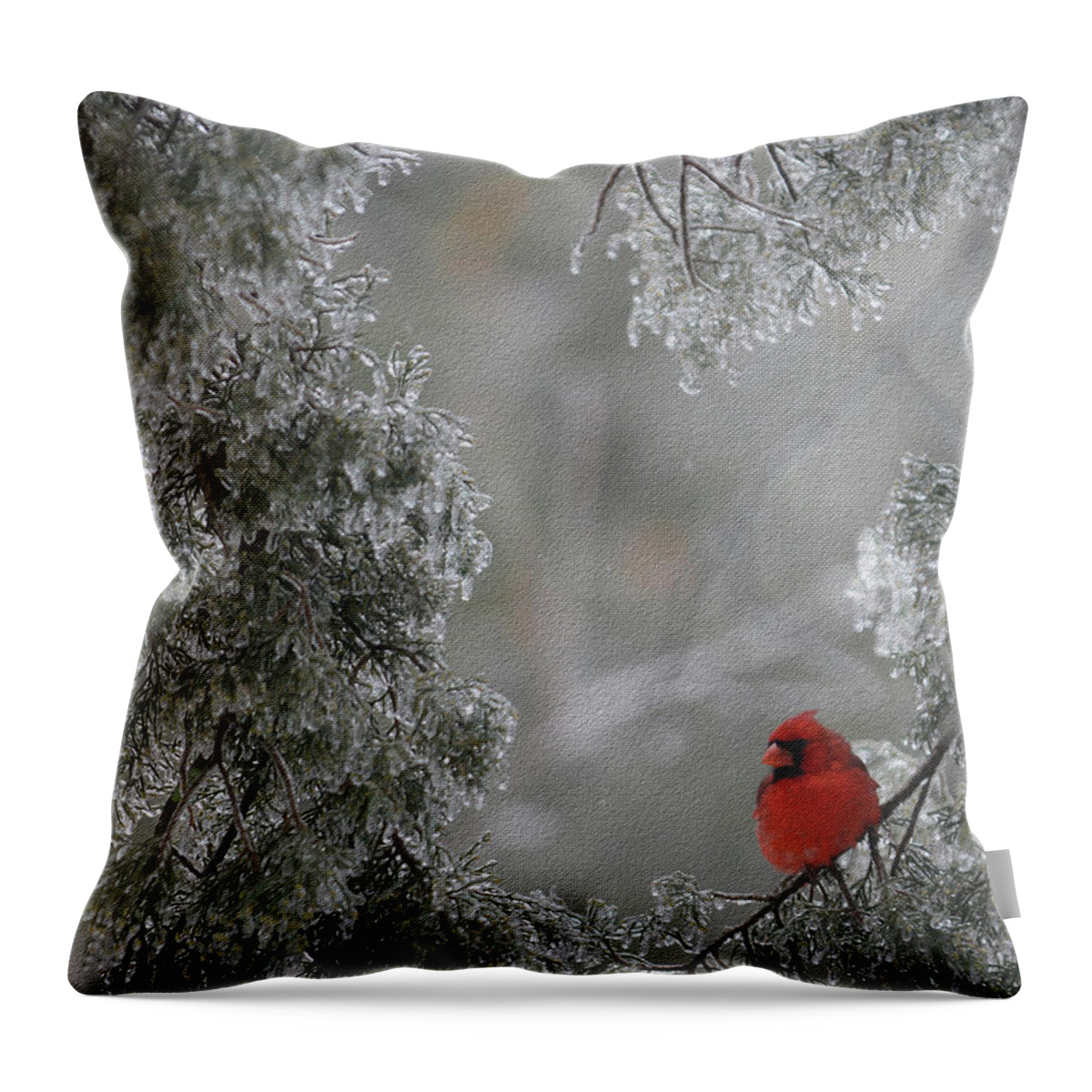 Bird Throw Pillow featuring the photograph Renewal by Constance Woods