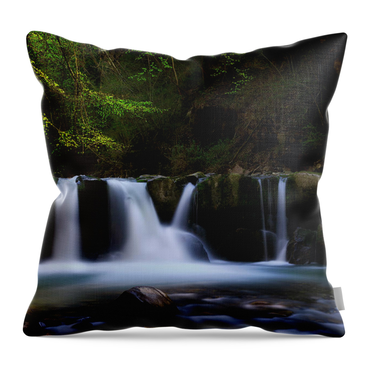 Waterfall Throw Pillow featuring the photograph Renewal II by Dominique Dubied