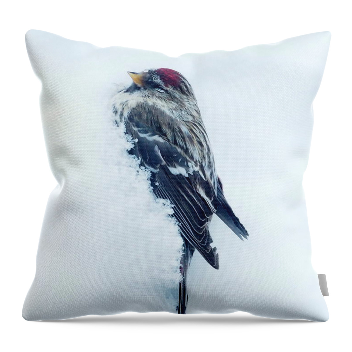  Throw Pillow featuring the photograph Requiem for a Redpoll by A K Dayton